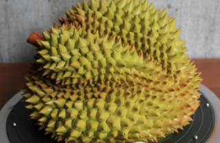 The Durian